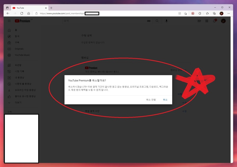 아이폰에서 유튜브 프리미엄 가격 및 9