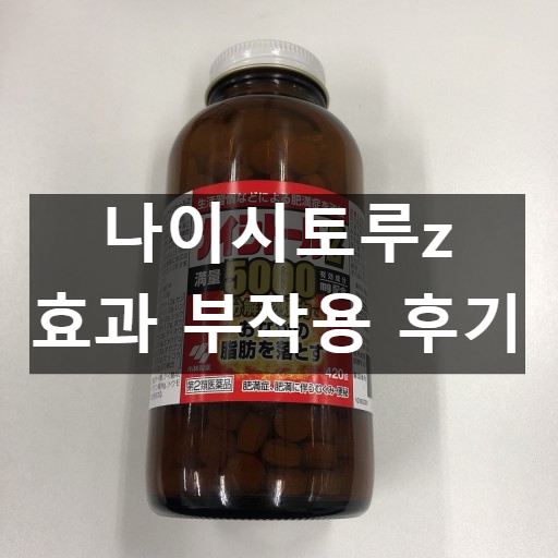 나이시토루z