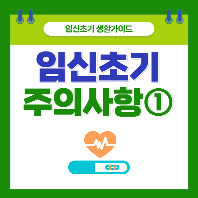  [임신 초기 주의사항①] 임신 초기 생활가이드