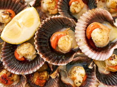 가리비 효능 10가지 40