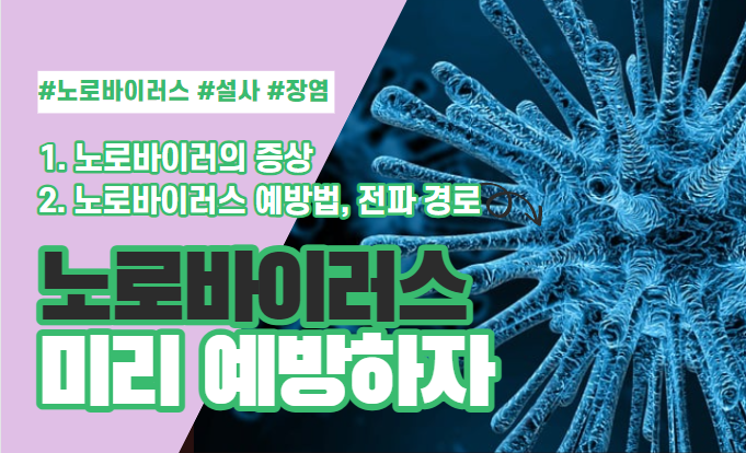  노로바이러스의 증상, 전파 경로, 예방방법 알아보기