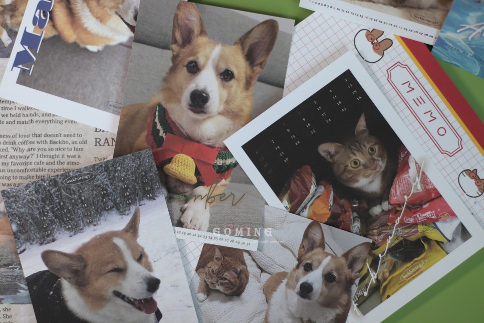 백호랑이 주문, 이웃집의 죽도록 사랑해!!!! 8