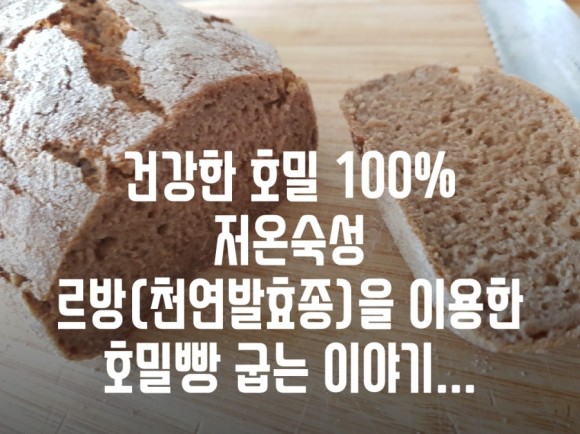 호밀빵 영어로 건강다이어트 : 르방을 이용한 호밀빵 6