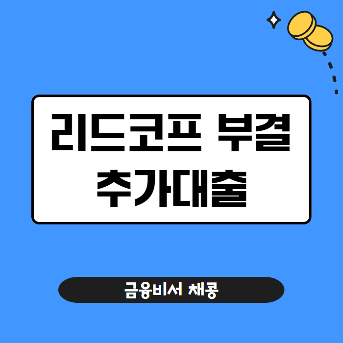 리드코프 부결 후기 추가대출 무직자 01