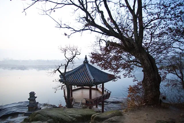 여주 출렁다리 가는법 관광 명소_3
