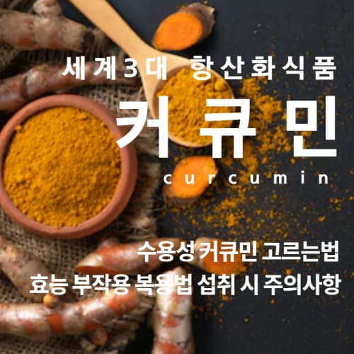  항암 항염 치매 예방까지!!! 커큐민 효능 부작용 미셀화 커큐민 추천 복용법 섭취 시 주의사항/curcumin