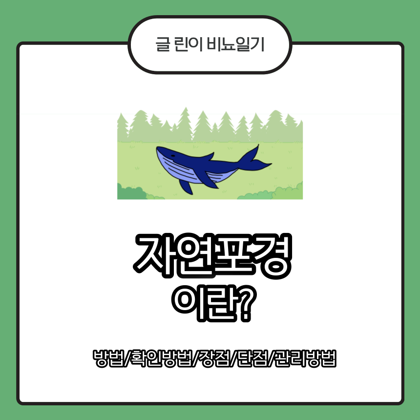  자연포경 이란? 확인방법/방법/장점/단점/관리방법