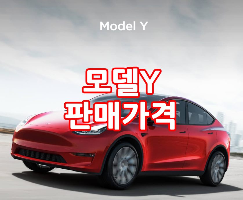  테슬라 모델Y 한국 판매가격 알아보기