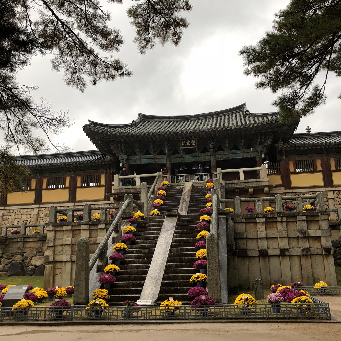  힐링하기 좋은 경주여행