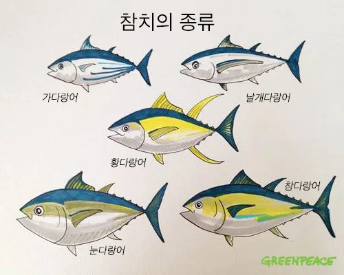 회가 이미지