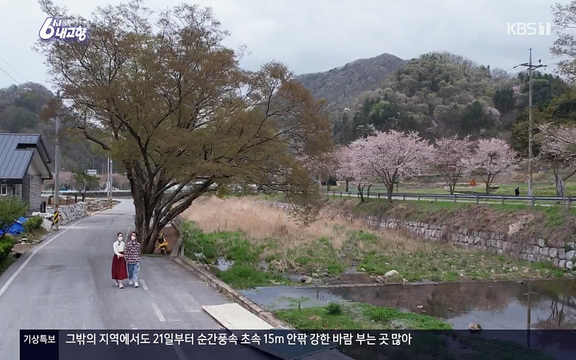 6시 내고향.E7523.220421p-NEXT.mp4_20220507_181136.436.jpg