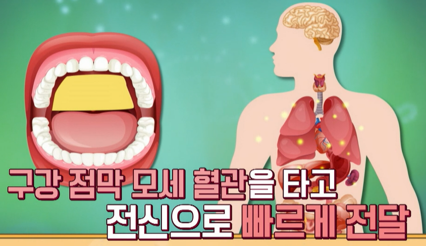 글루타치온 섭취 방법