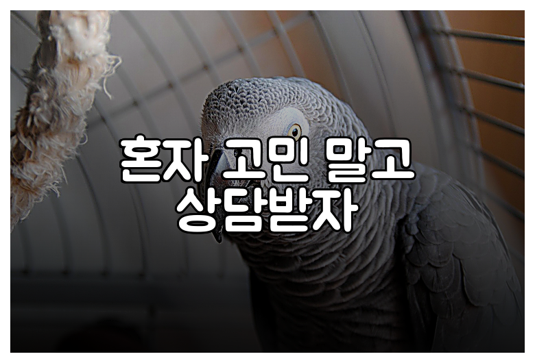 혼자 고민 말고 상담받자