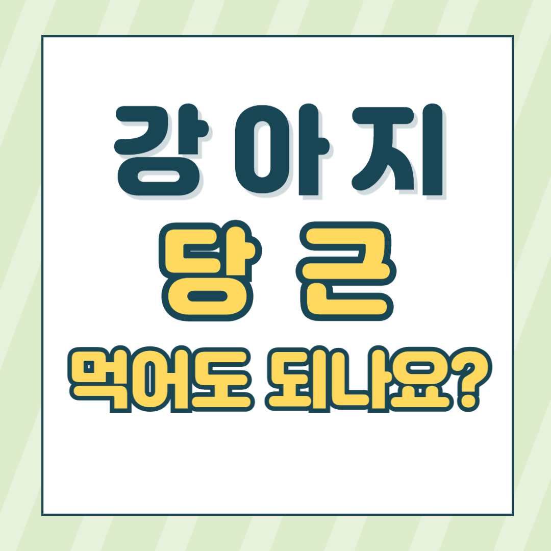 강아지당근간식