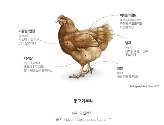  닭고기의 유래와 역사 및 부위별 특징과 영양성분