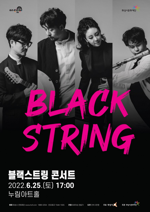 스트링악기 이미지
