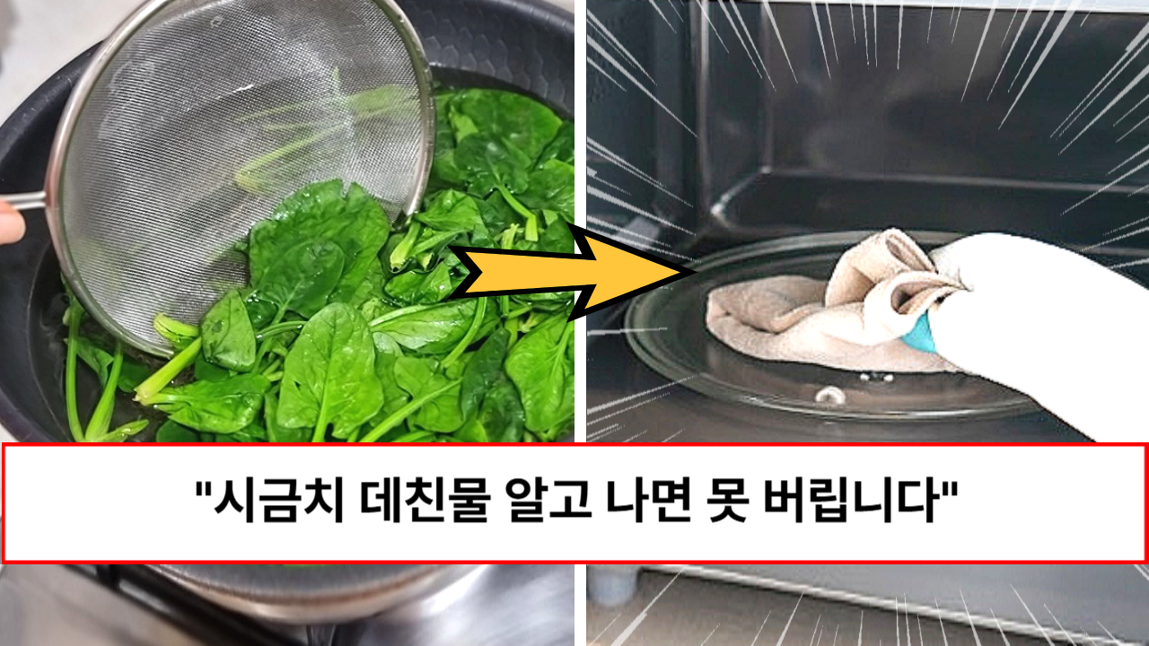 “이게 보약입니다” 99% 주부들이 대수롭지 않게 버리기 쉬운 시금치 데친물 300% 활용법