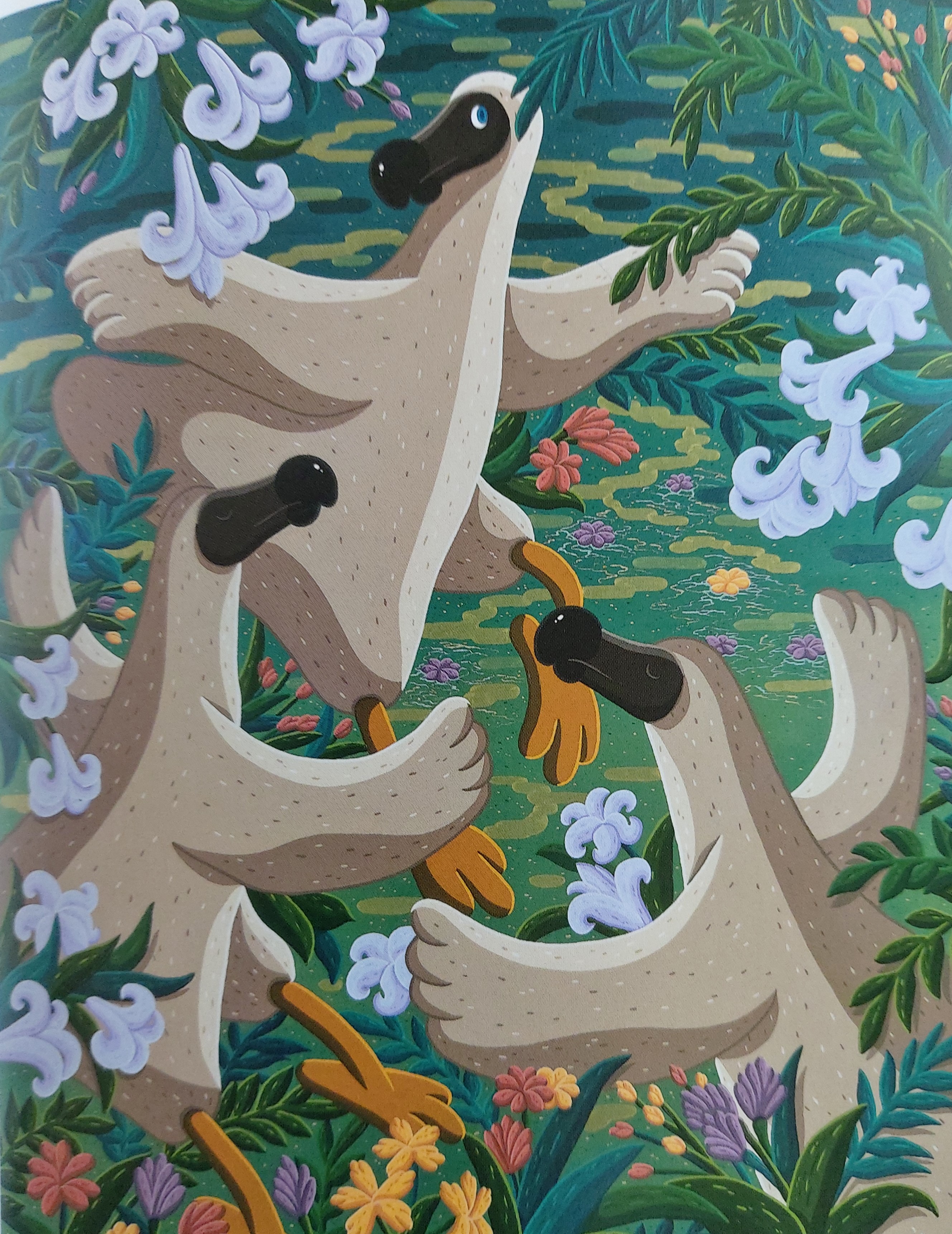 김선우의 &lt;Lily&#44; Flower&#44; Dance&#44; Dodo&gt;