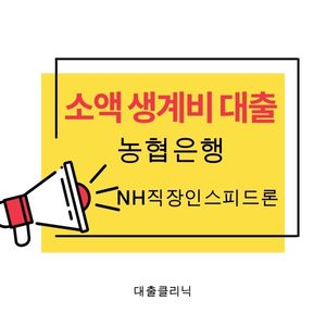 농협은행 NH직장인스피드론
