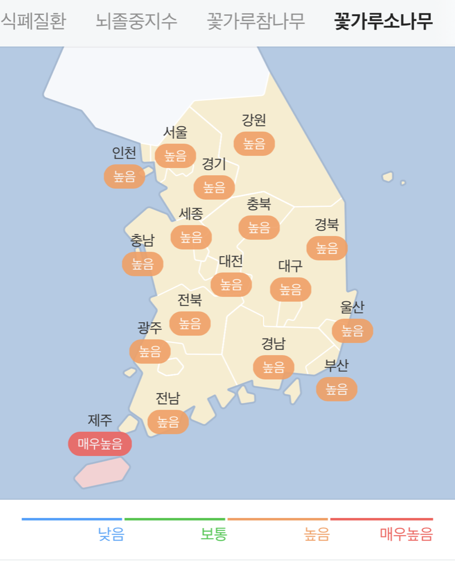  송진 송화가루 시기, 5월 꽃가루 알레르기 증상, 예방법