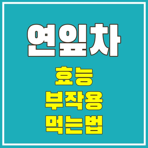 연잎차의효능_썸네일