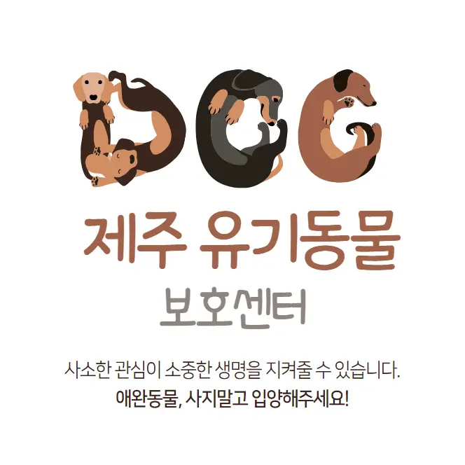  제주도 유기동물보호센터 강아지 고양이 유기 동물 보호소 4곳