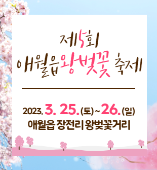 2023 제주 애월읍 왕벚꽃축제 3