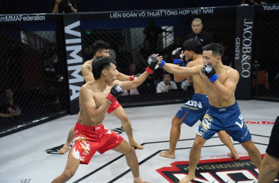 img src="베트남_MMA.jpg"alt"베트남 MMA"