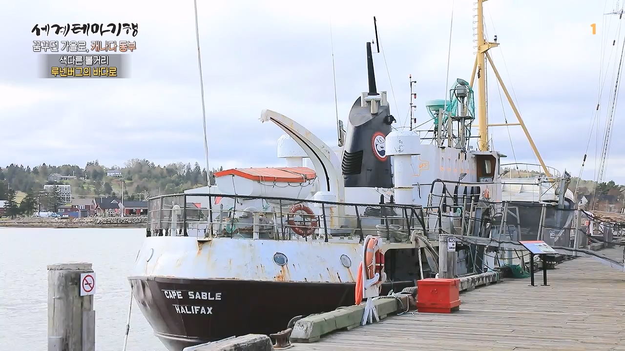 세상의모든기행꿈꾸던 가을로 캐나다 동부-다시 올 이유, 단풍국.mp4_20231127_205047.810.jpg