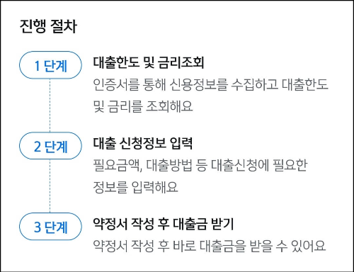 신한 쏠편한 비상금대출