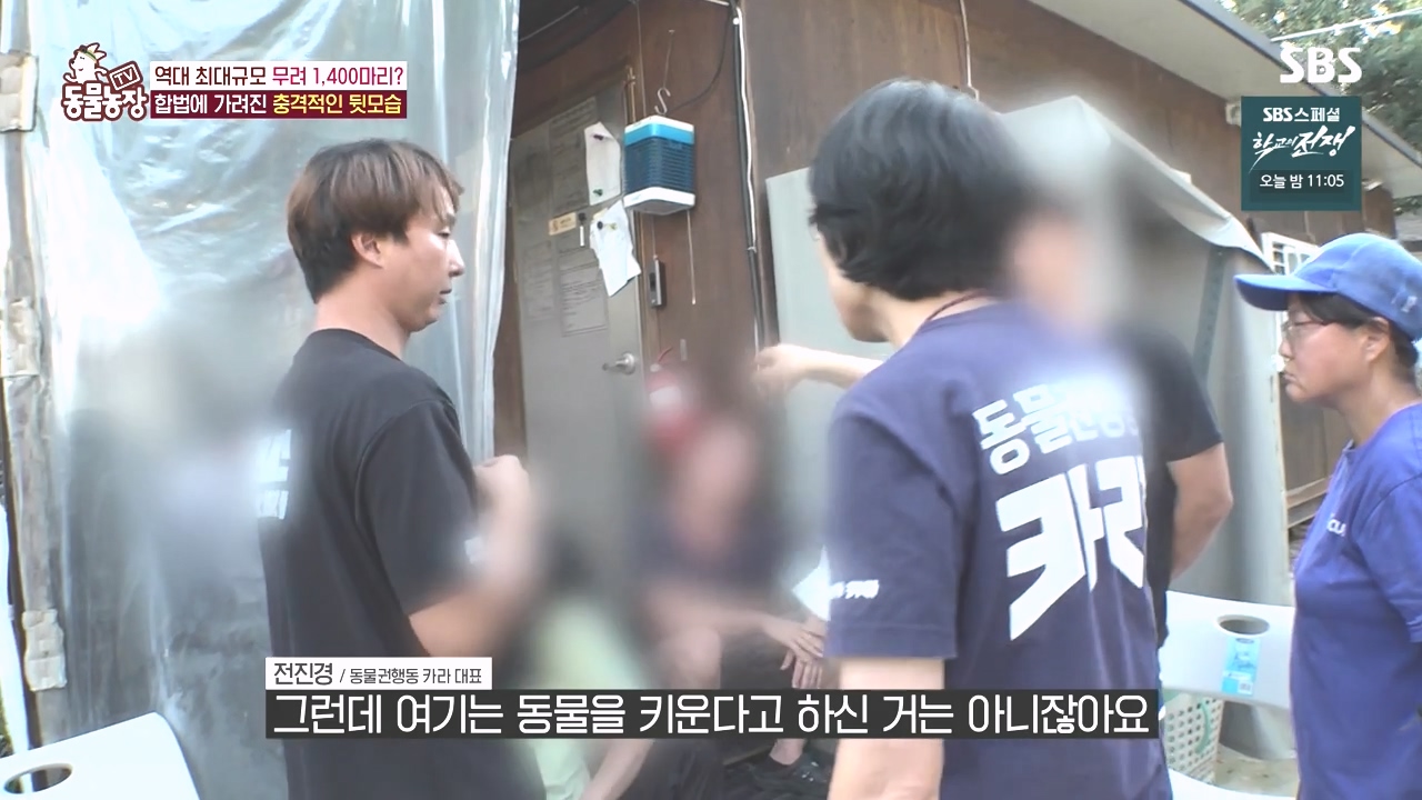 TV 동물농장.E1142.231023p-NEXT.mp4_20231022_172139.249.jpg