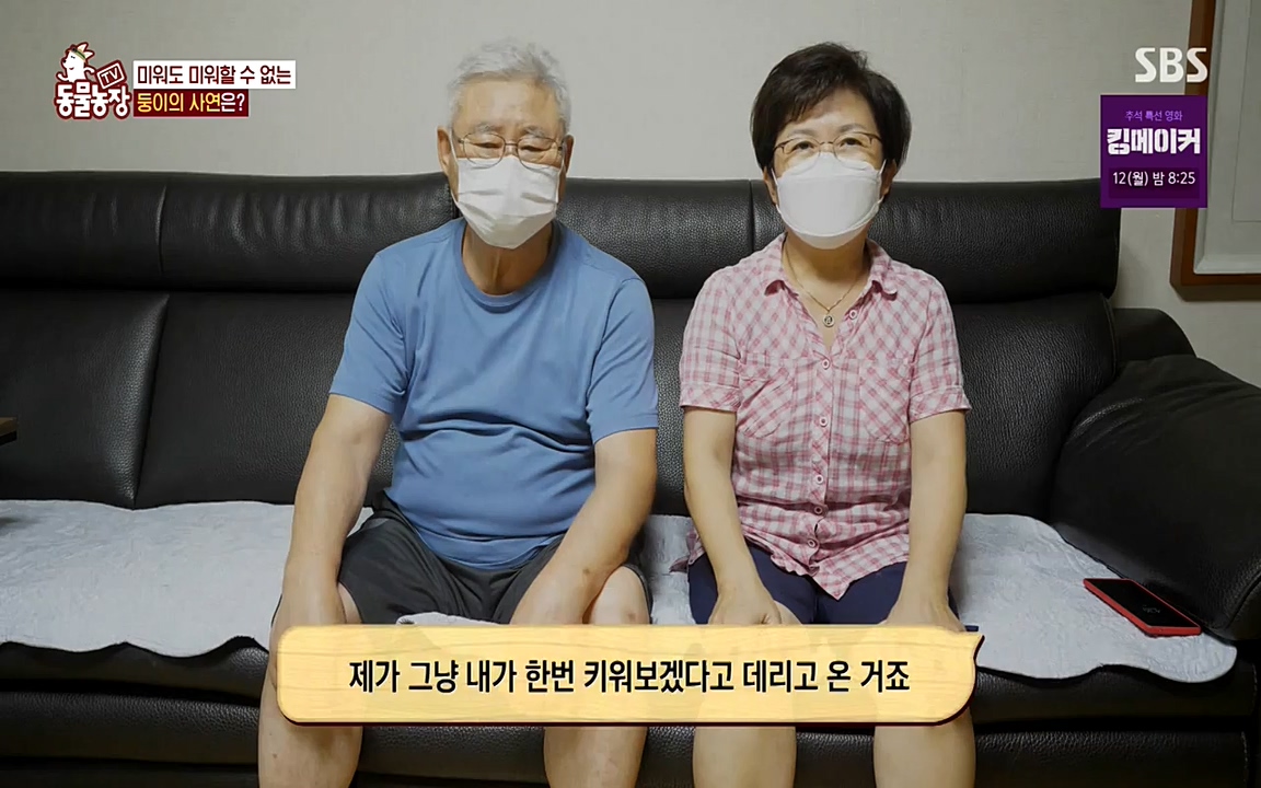 TV 동물농장.E1085.220905p-NEXT.mp4_20220904_173524.618.jpg