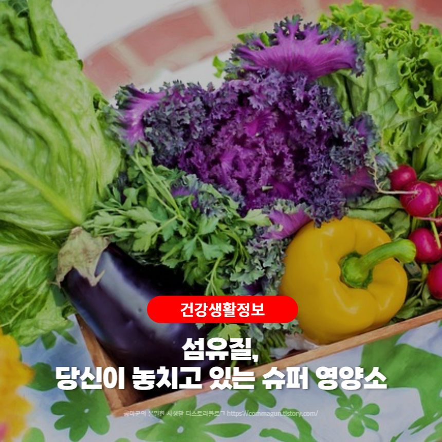  섬유질, 당신이 놓치고 있는 슈퍼 영양소