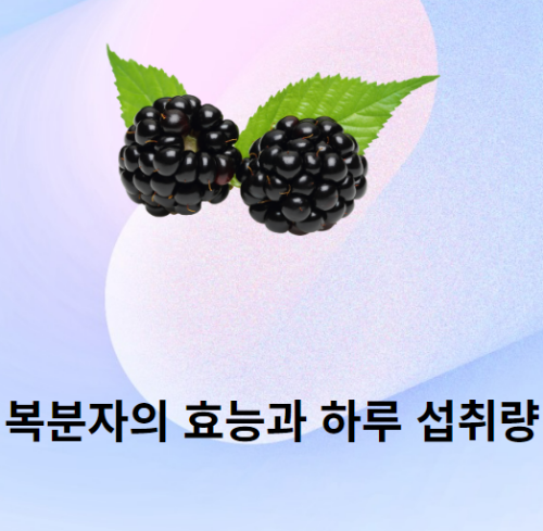 포스터