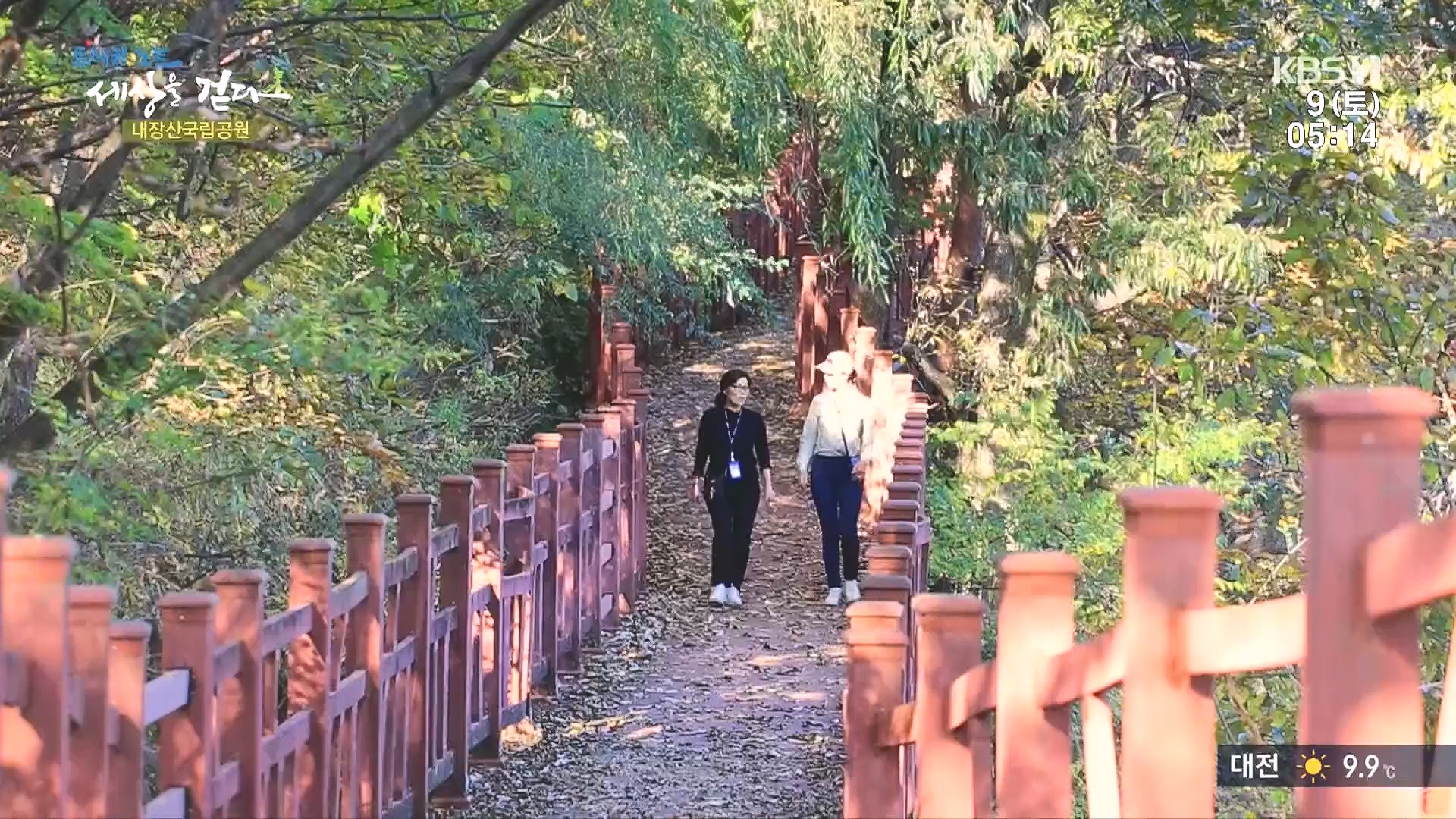트레킹노트 세상을 걷다.E298.231209p.H264-F1RST.mp4_20240105_205418.713.jpg