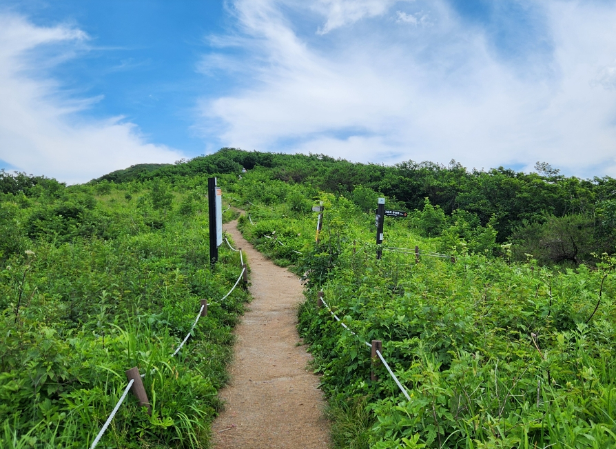 곰배령11