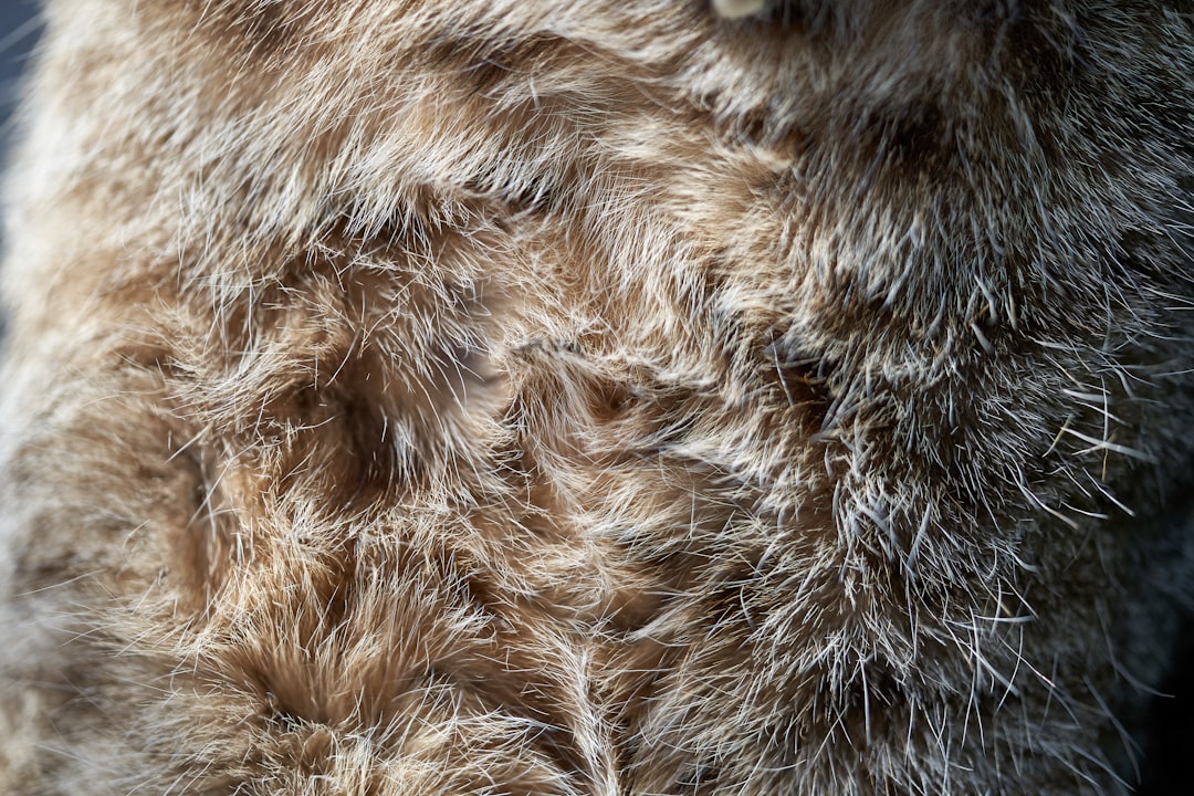 Fur