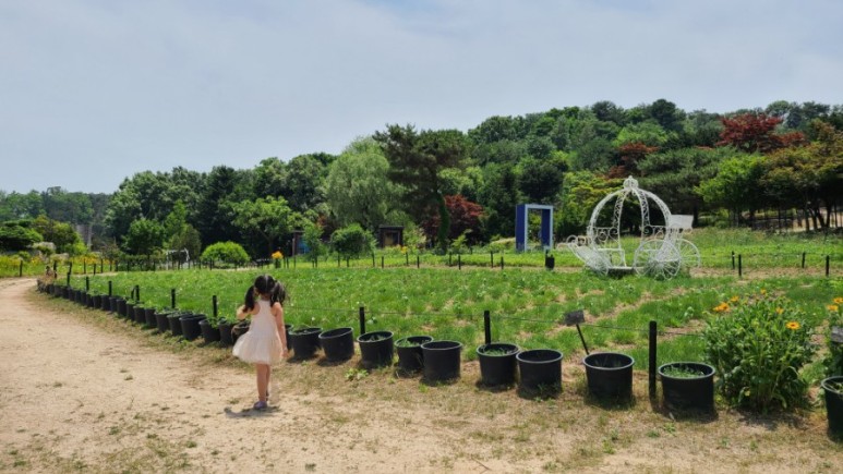 서울 근교 아이와 갈만한곳 [서울근교 갈만한곳] 남양주 산들소리수목원 38