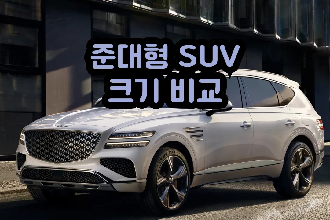 차박하기 좋은 준대형 SUV 크기 비교 썸네일