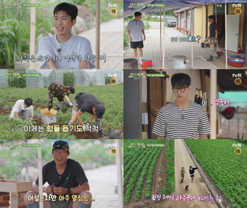 임영웅의 삼시세끼 출연