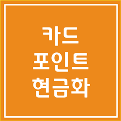  카드 포인트 현금전환, 카드포인트 현금화 완벽 정리(비회원 가능)