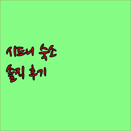 시타딘스 워커 노스 시드니 숙박 후기