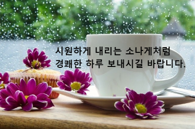 빗방울이 맺혀 있는 창가 하얀 커피잔과 자주색 꽃