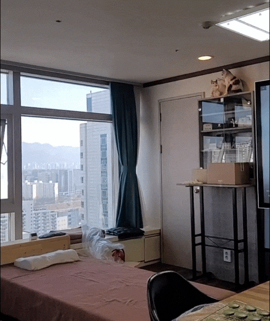 생성해주는 톨레스 디톡스관리 받았어요 [큐어랩]수서 부종 관리 산화질소 6