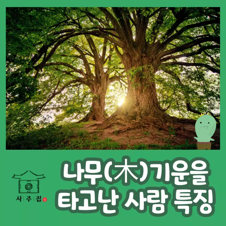 사주에서 나무(木)특징의 썸네일