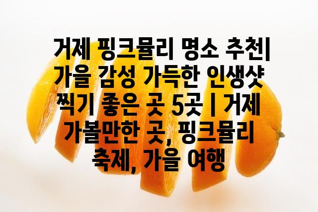 랜덤158