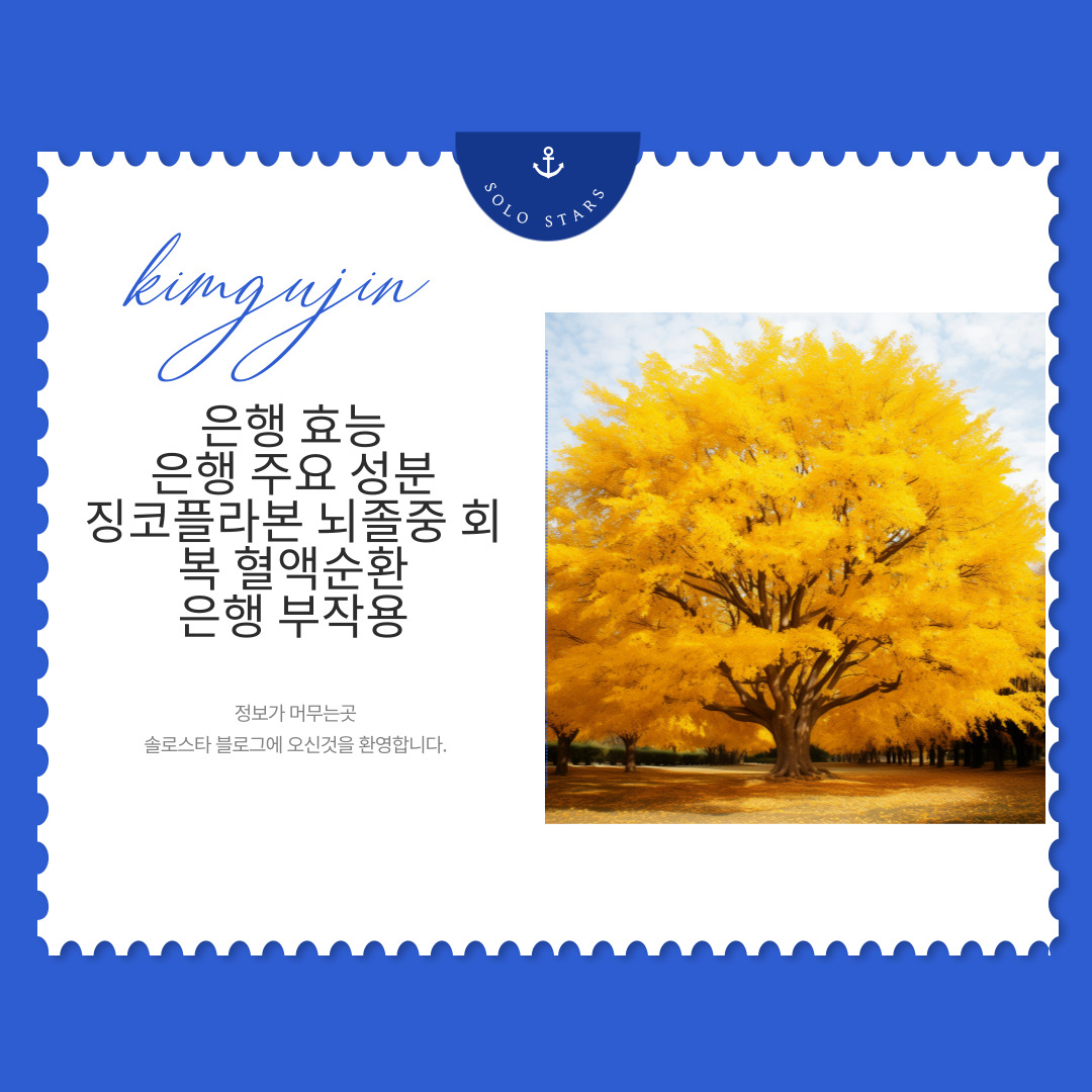 은행나무 사진