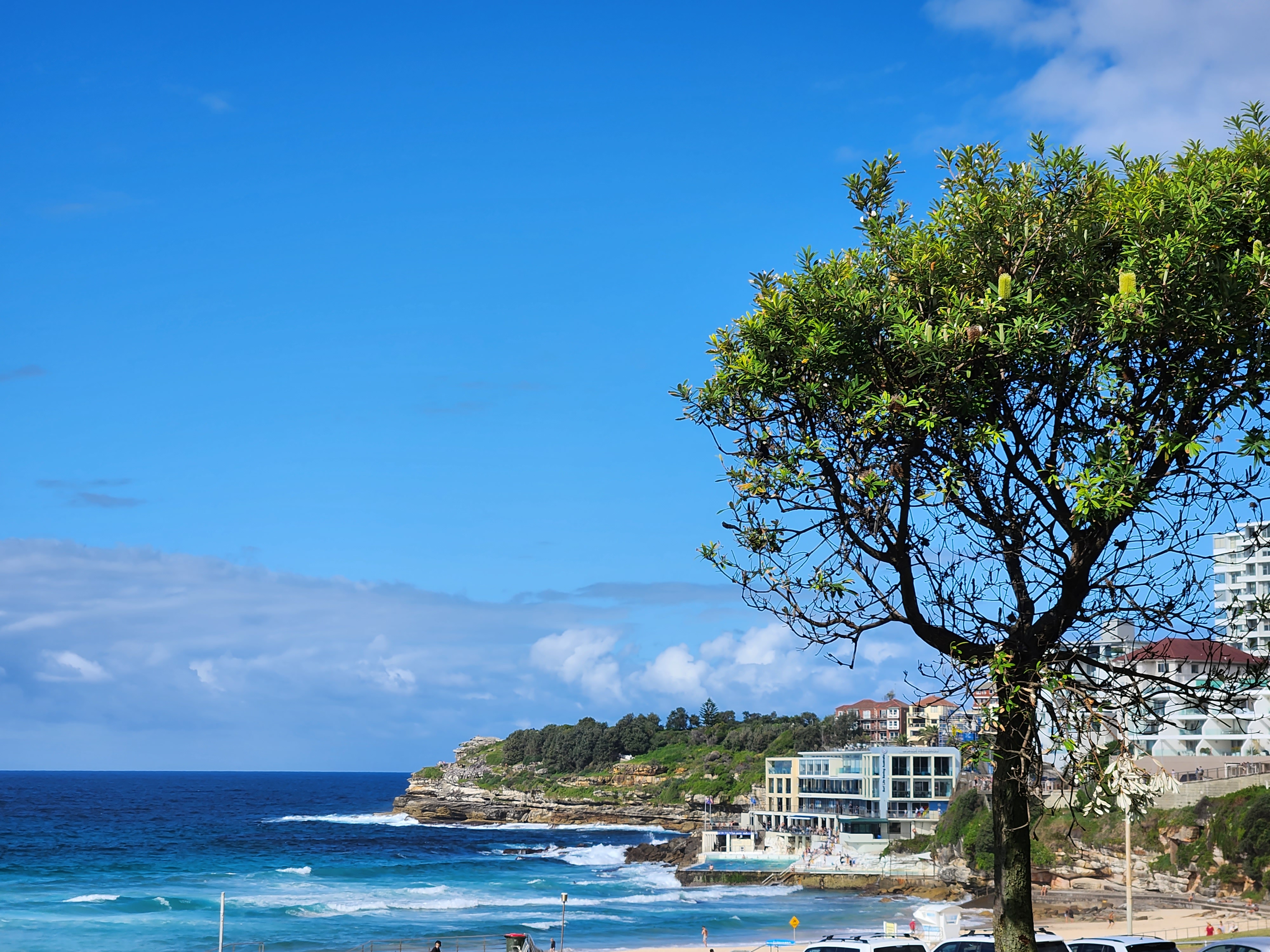 bondi beach