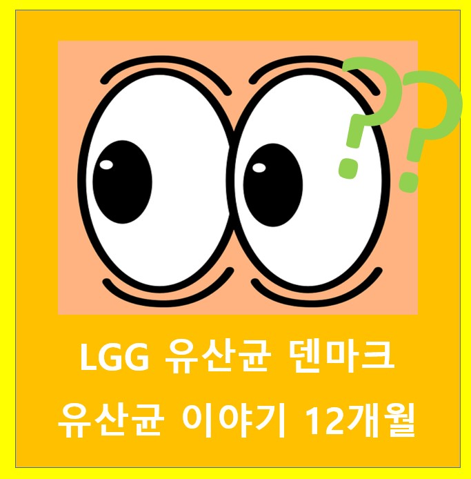 LGG 유산균 덴마크 유산균 이야기 12개월