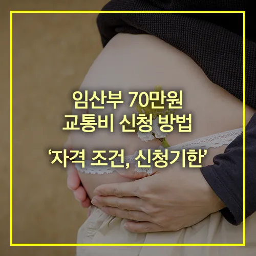 임산부 70만원 교통비 신청 방법 썸네일